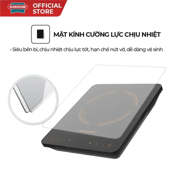 Bếp điện từ đơn